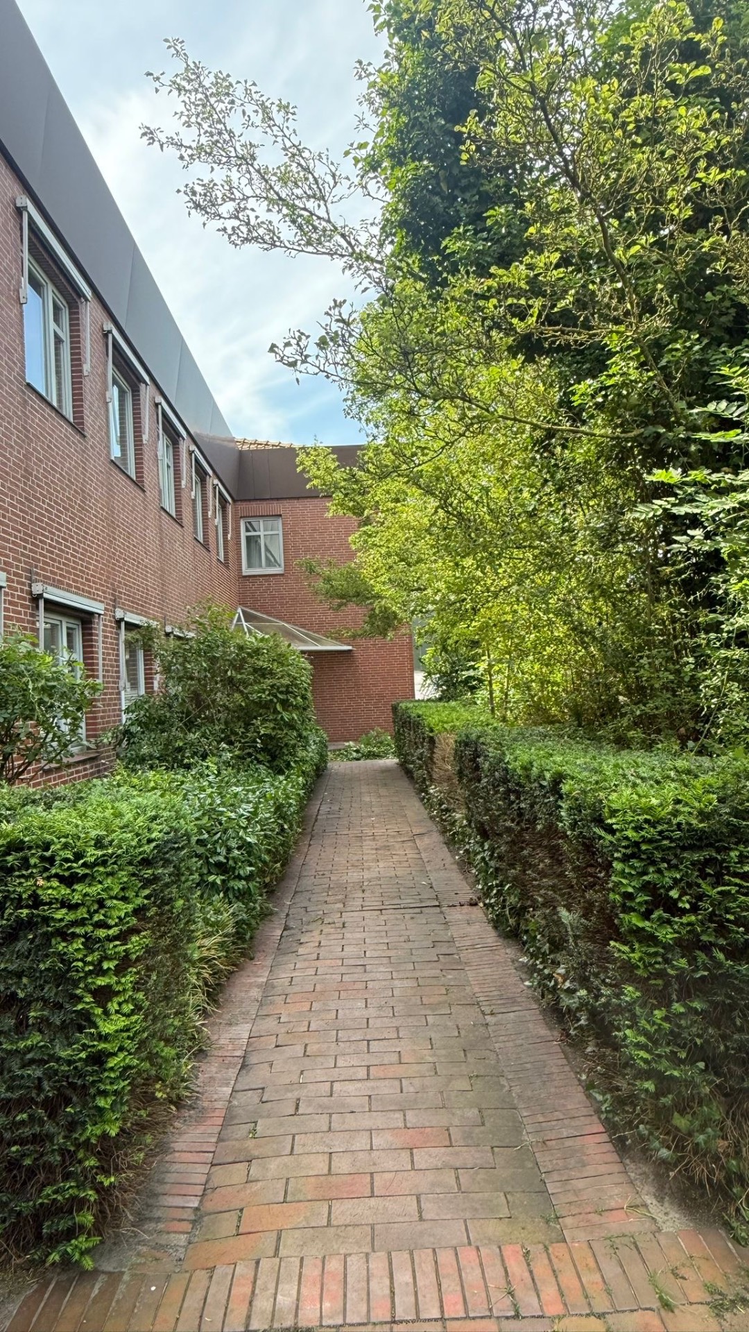 Freier gepflegter Gartenweg nach dem Heckenschnitt