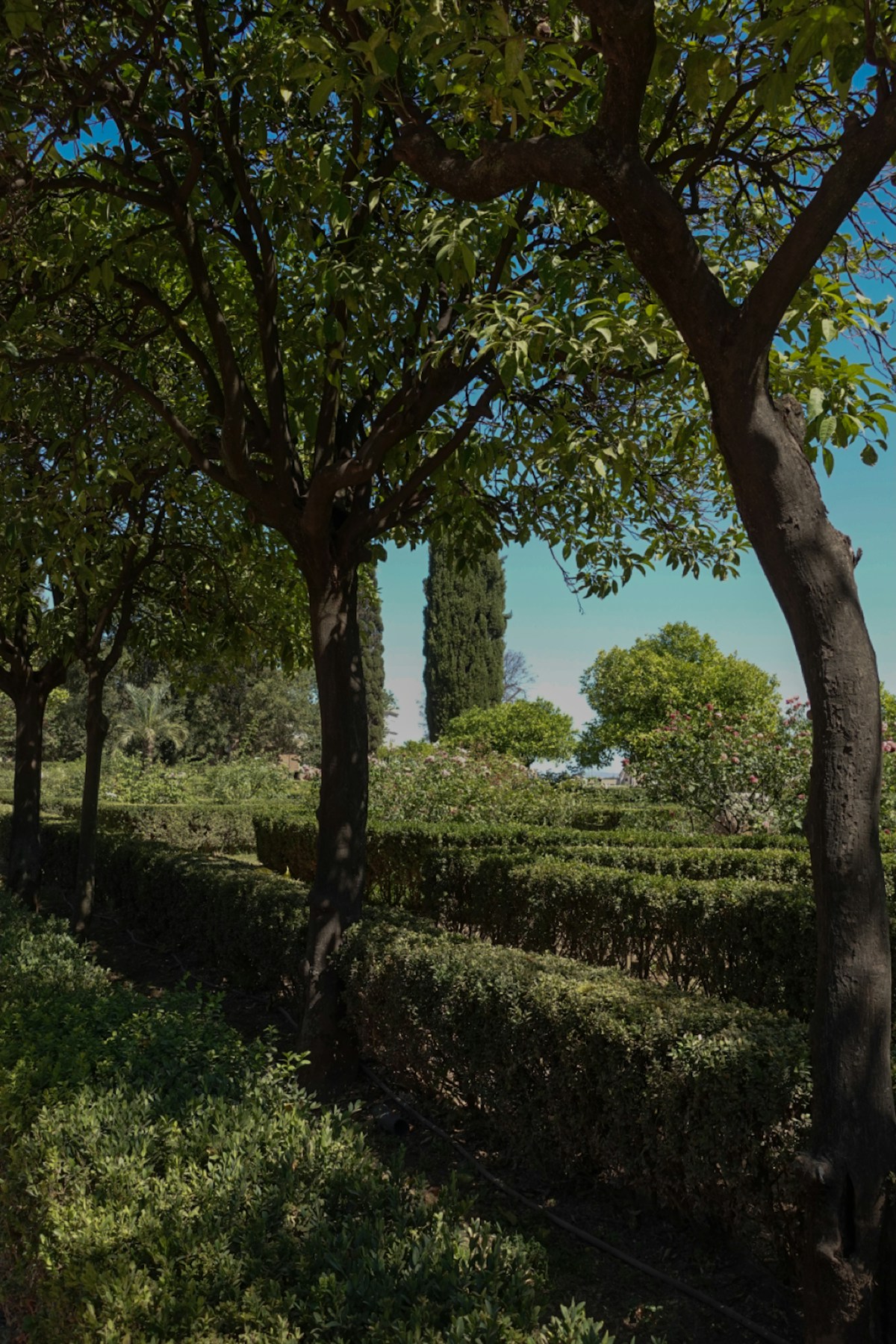Garten- und Grünpflege